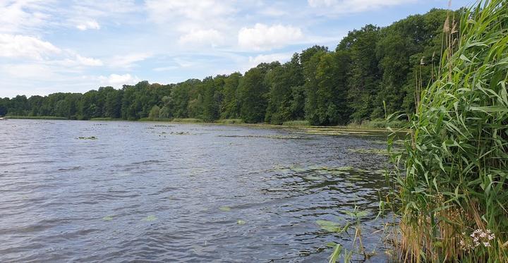 Biergarten Am Lehnitzsee